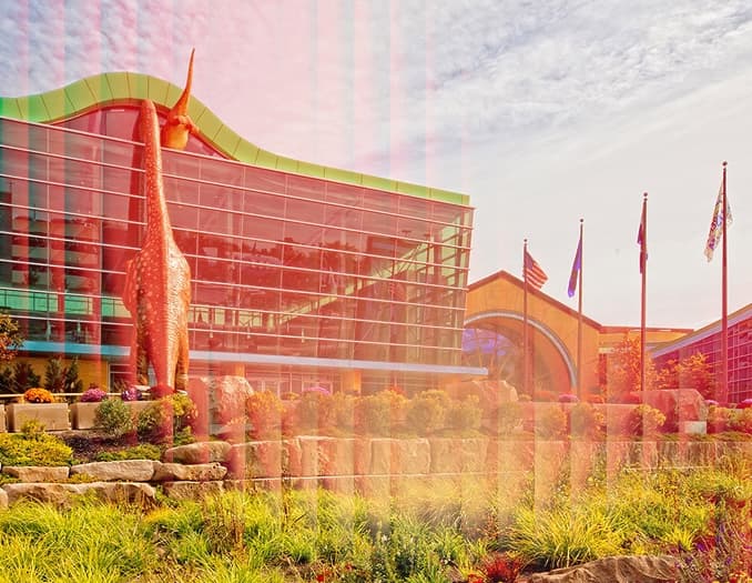 The Children's Museum